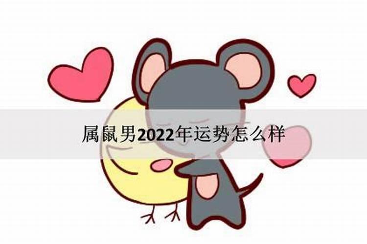 属鼠男2022年的运势