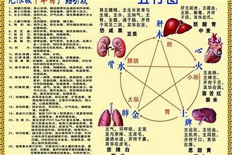 属马的二月出生