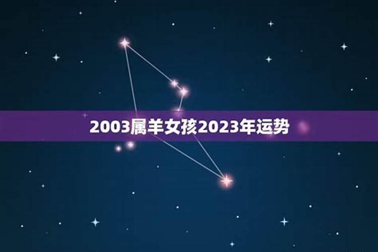 2003属羊的女孩命运