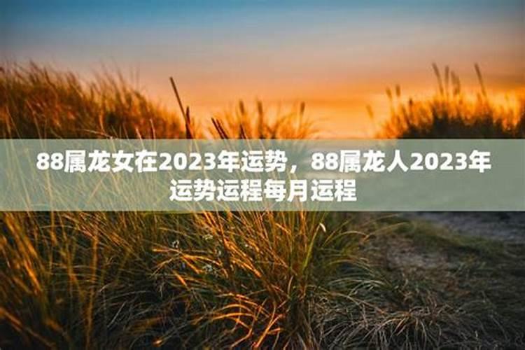 属龙女2023年的运势及运程