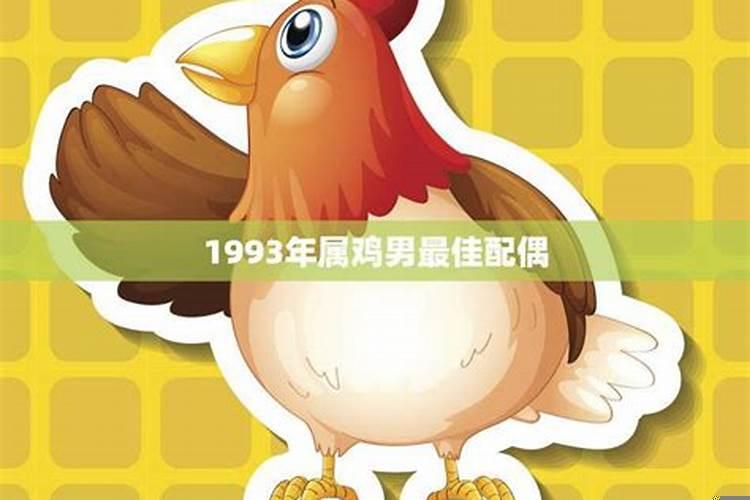 属鸡的和属鸡的婚配好不好1993和1993年结婚好不