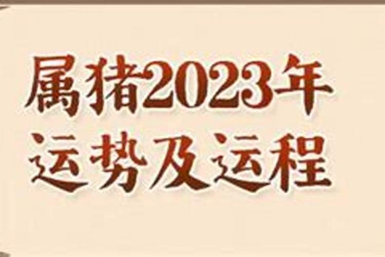 2023属猪人全年运势如何呢