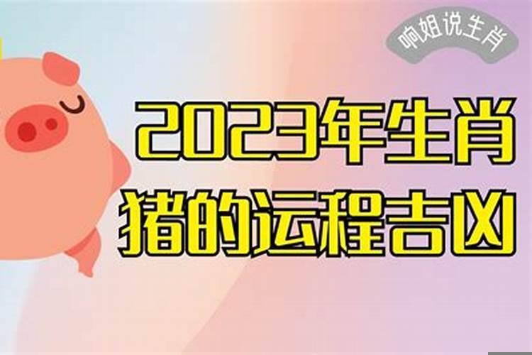 2023年属猪的运程每月运势