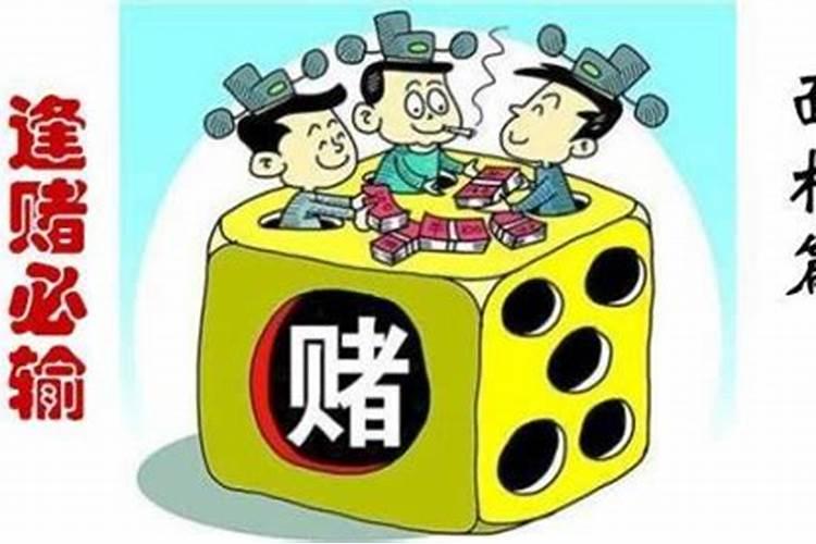 本命年需要忌讳什么属相