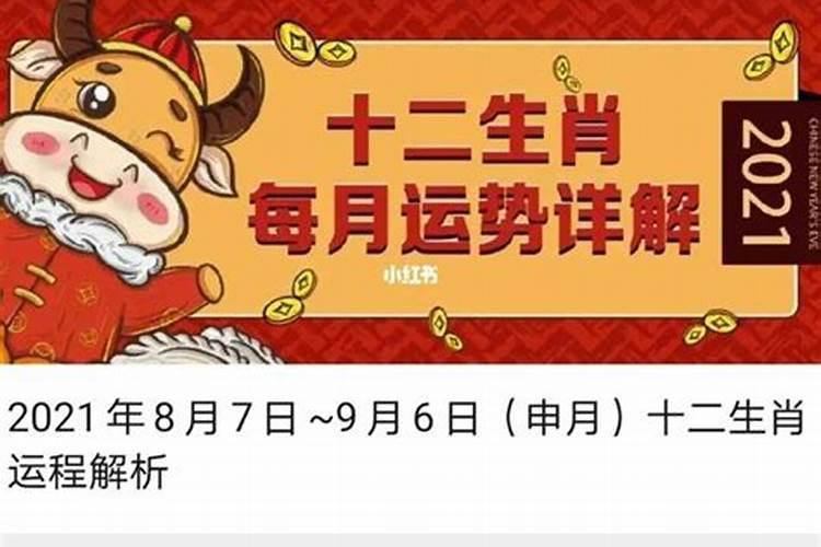 生肖运势2023年运势大全