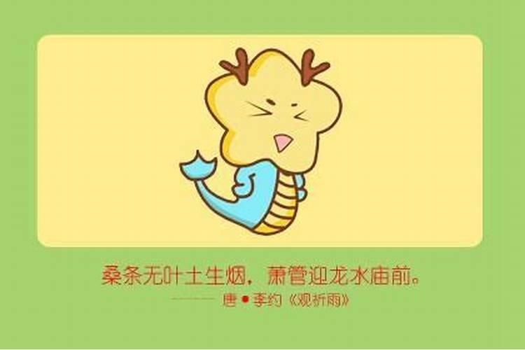 属龙女今年做什么行业最适合