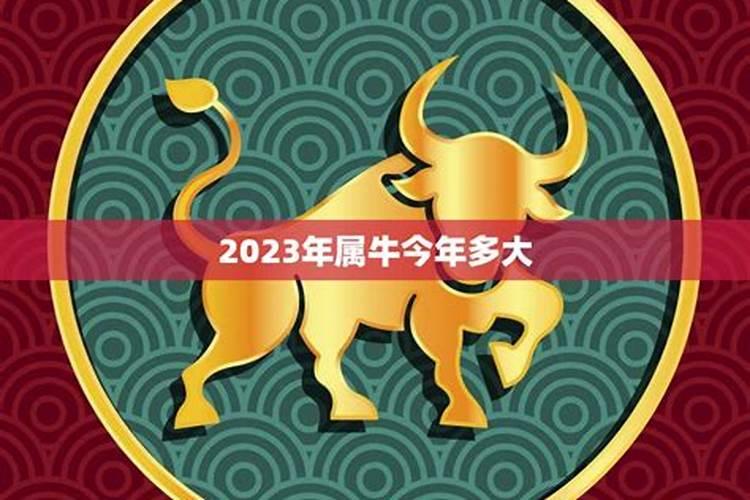 2023年属牛的多少岁了