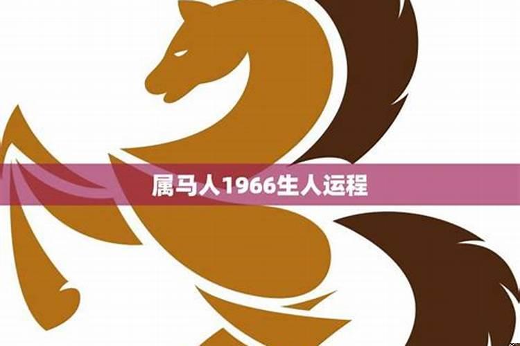 属马人在2023年的感情运势如何