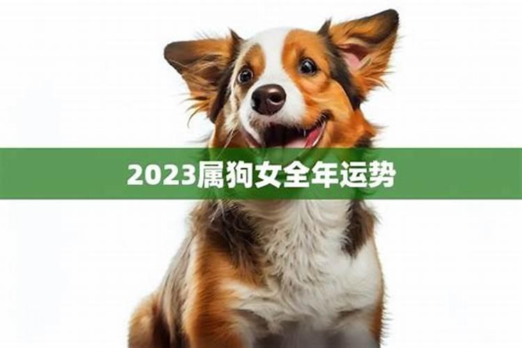 属狗的2021年运势如何1970