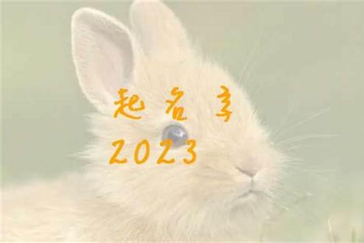 2021属兔网名