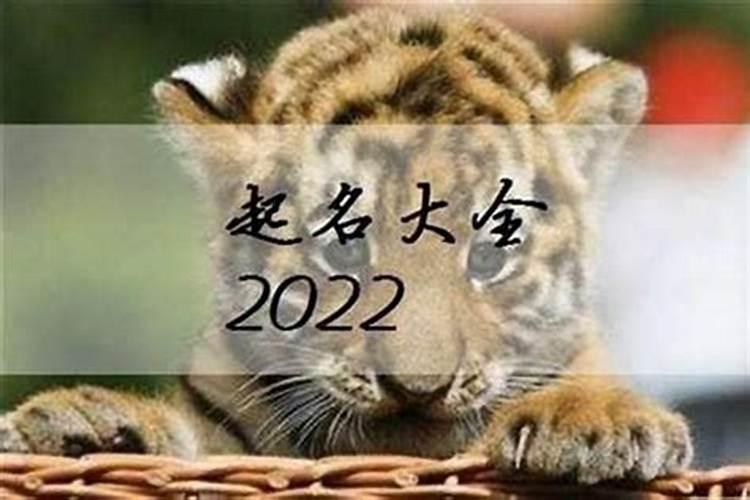 男孩乳名大全2021属虎