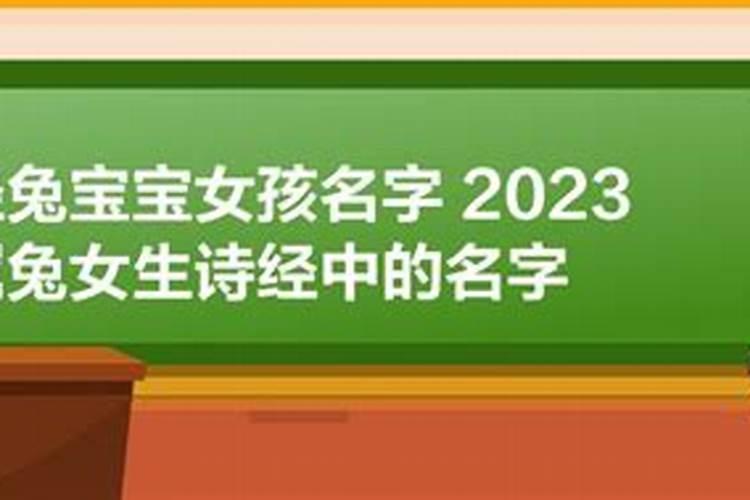 女孩名字23年属兔取名