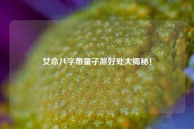 还阴债的看经是什么