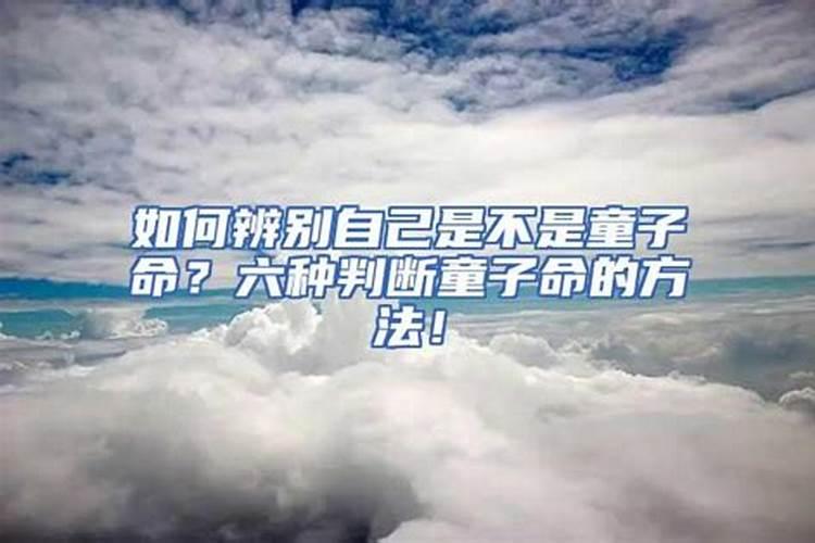 属蛇的今年犯太岁应该注意什么?