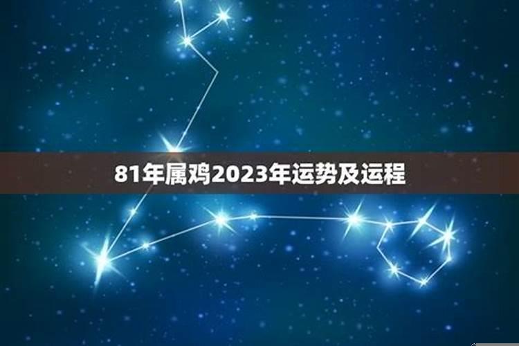 81年属鸡的人2023年的运势及运程