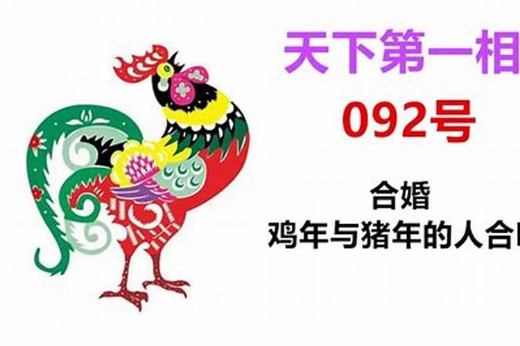 1999年属兔2022年运势及运程每月运程五月运气怎么样