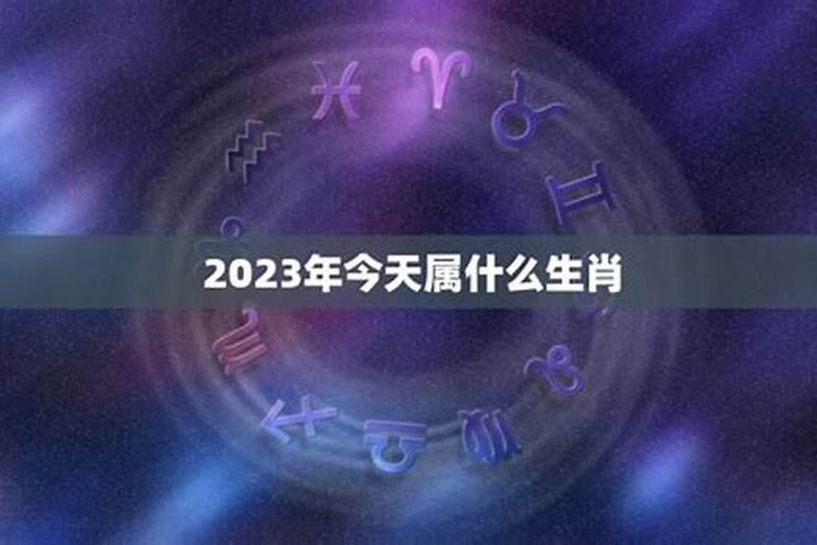 今天属什么生肖2023年1月1日运势