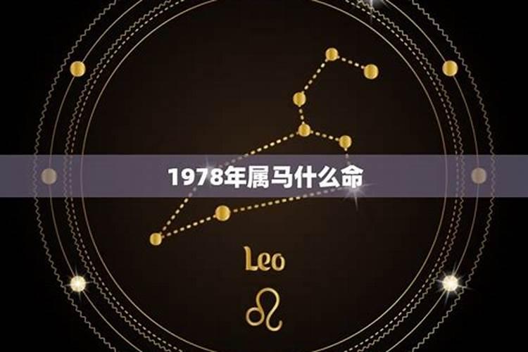 1978年3月属马人2021年运势