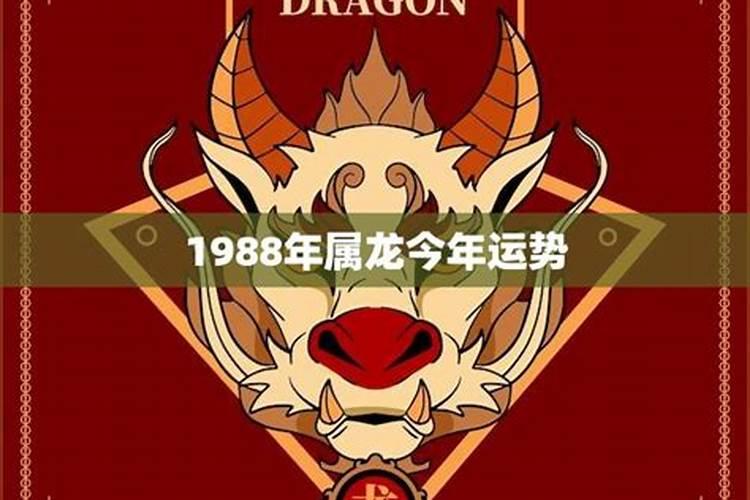 1988属龙男今年运势怎么样