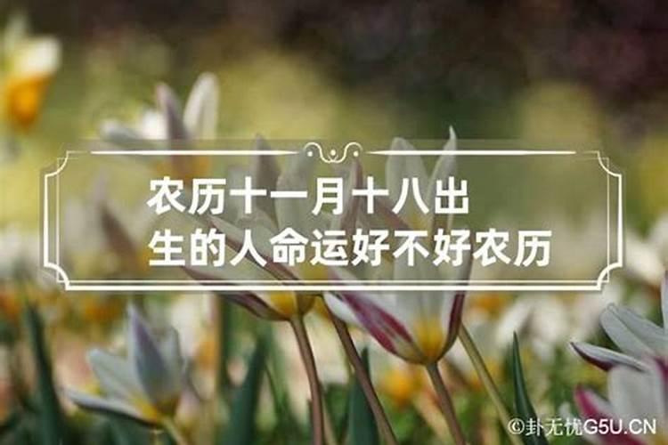 生辰八字几钱几两解说