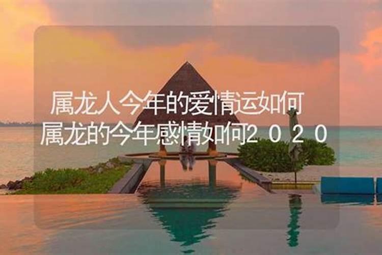 属龙的今年感情如何2020年出生