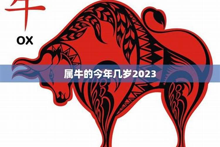 属牛的今年几岁了2022