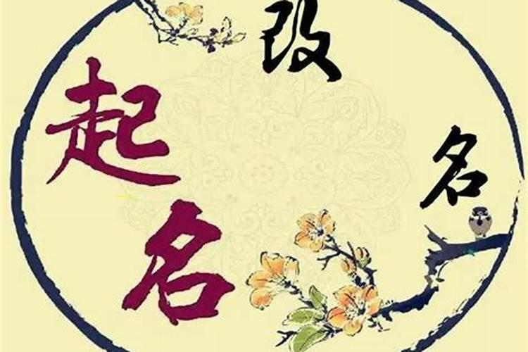 属猴的小朋友今年多大岁数