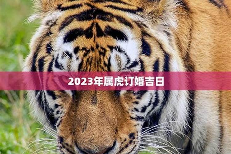 属虎女结婚吉日2022年运势如何