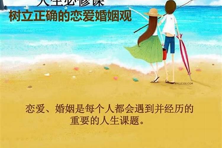 大学恋爱与婚姻网课