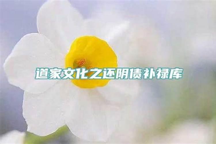 刑太岁怎么化解2022年