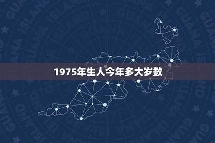 1975今年多大年龄2021