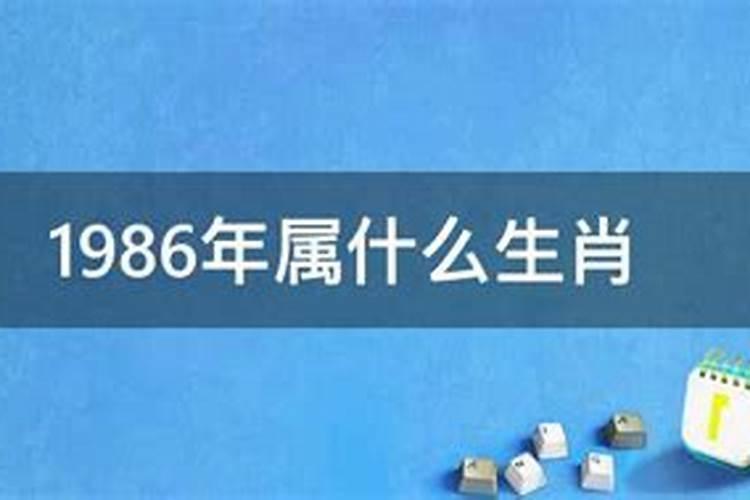 1986年是什么寅