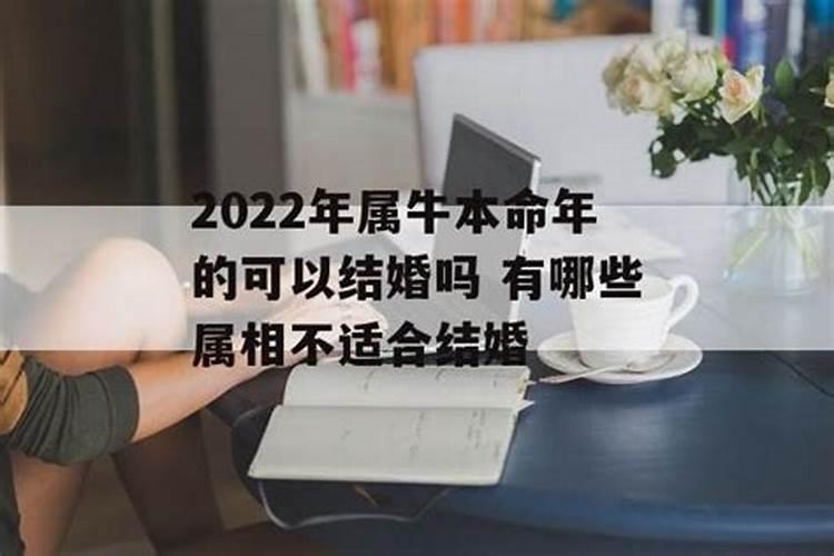 2022年属牛的人可以结婚吗女孩