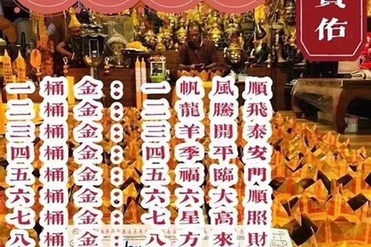 属牛今年运势方向