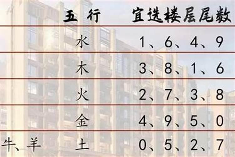 12生肖住的楼层吉和凶