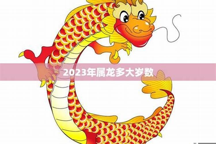 属龙的2023多大年龄了