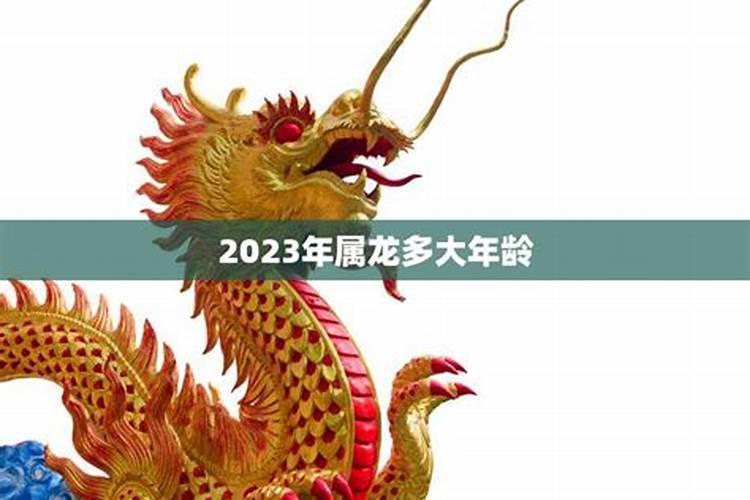 2023年属龙多大年纪