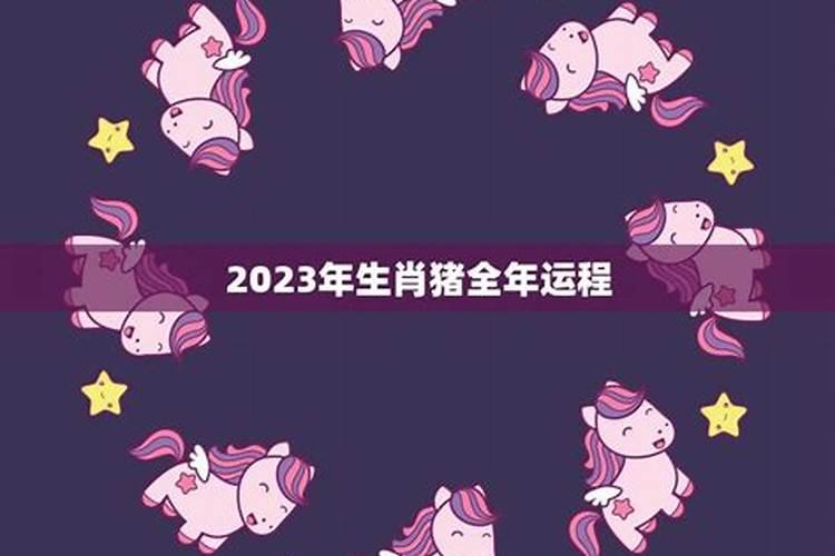 生肖猪2023年全年运势如何