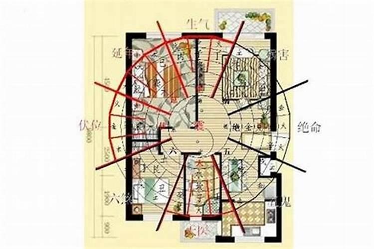 1971年属猪的2021年多大年龄