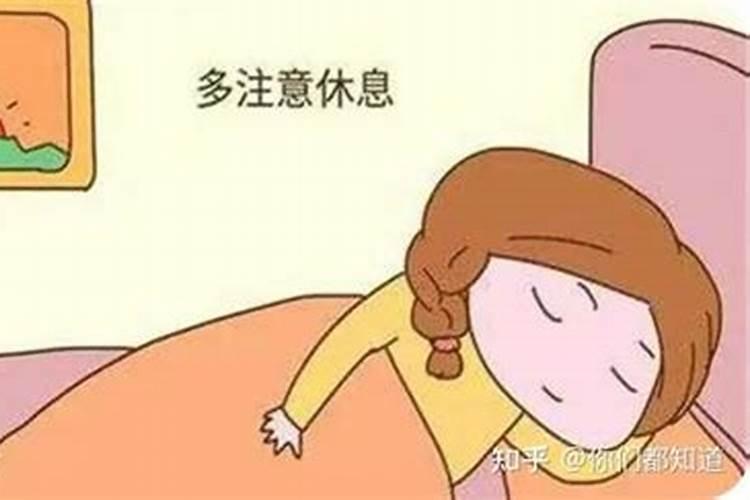 失足女子指的是什么生肖和动物