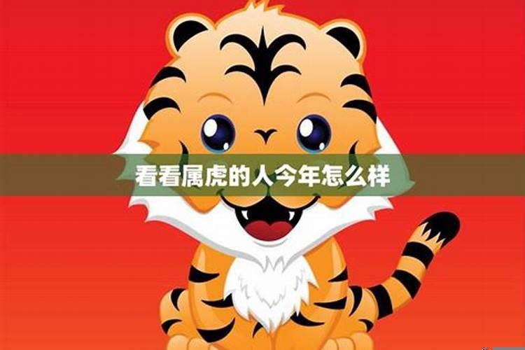 属虎人2022年运势怎么样讲解一下