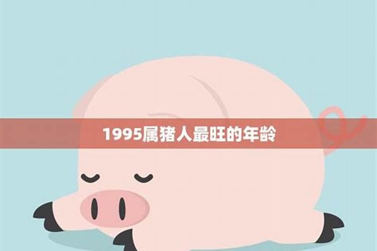 2022年属猪爱情运势