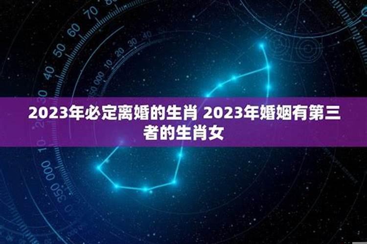 2023年即将离婚的生肖