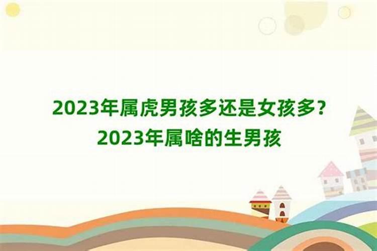 2023年属虎结婚好吗男孩