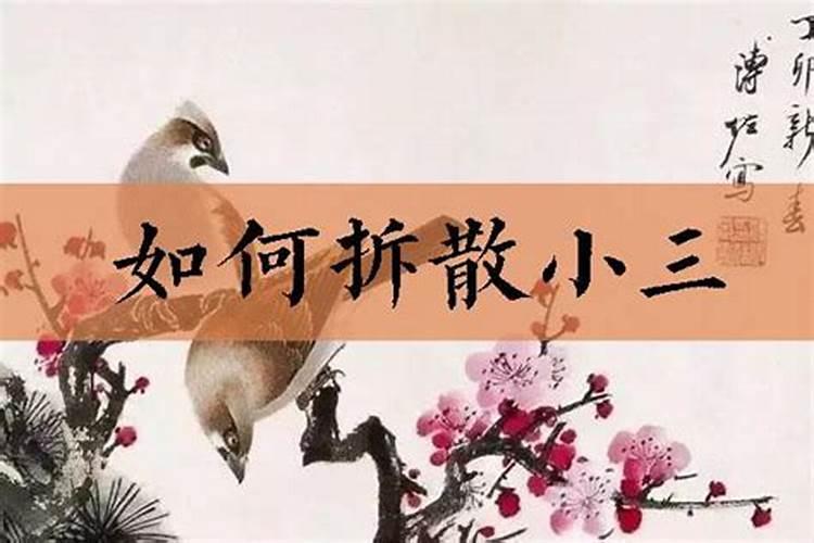 三亚婚姻律师事务所排名榜