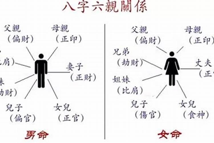 父母子女八字看哪柱