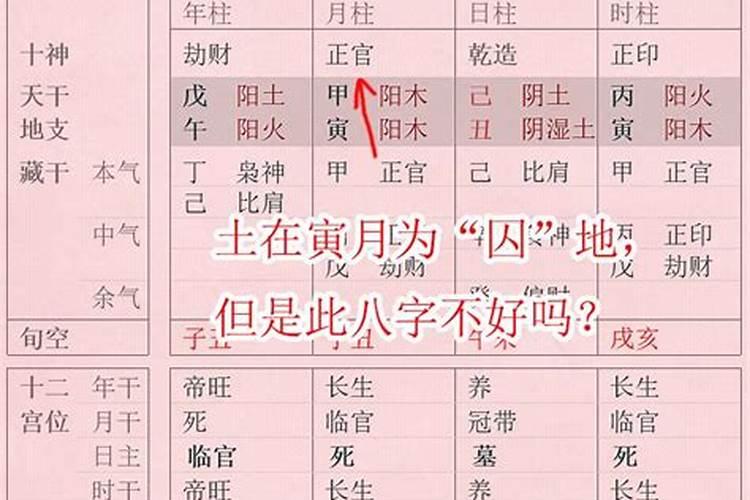 八字不得令但有根