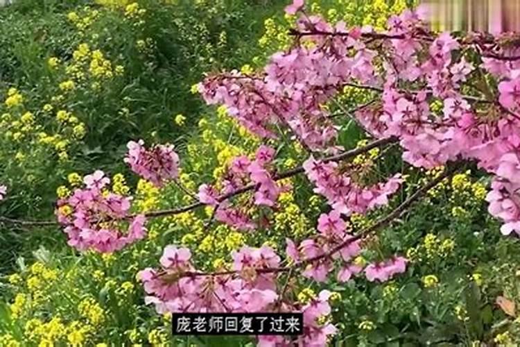 男马女牛属婚姻状况怎么样