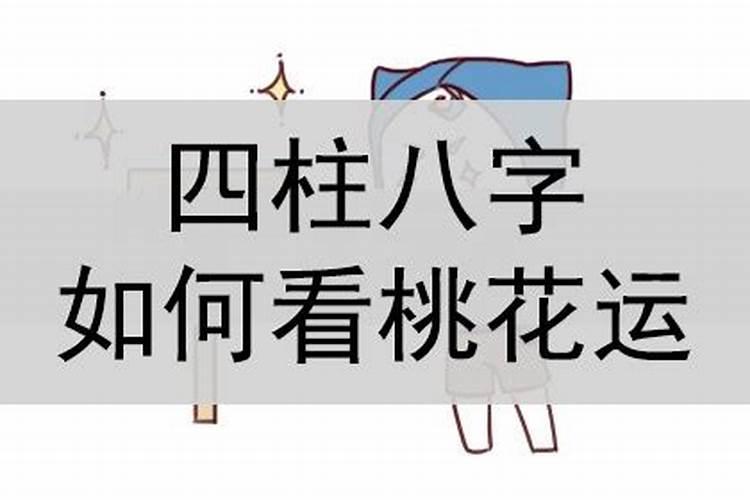 本命年兔结婚好吗