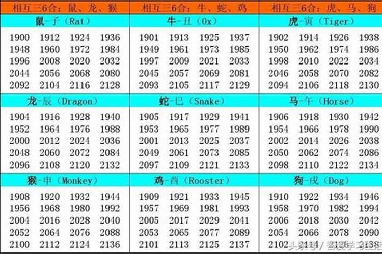 2021年1月24号特吉生肖